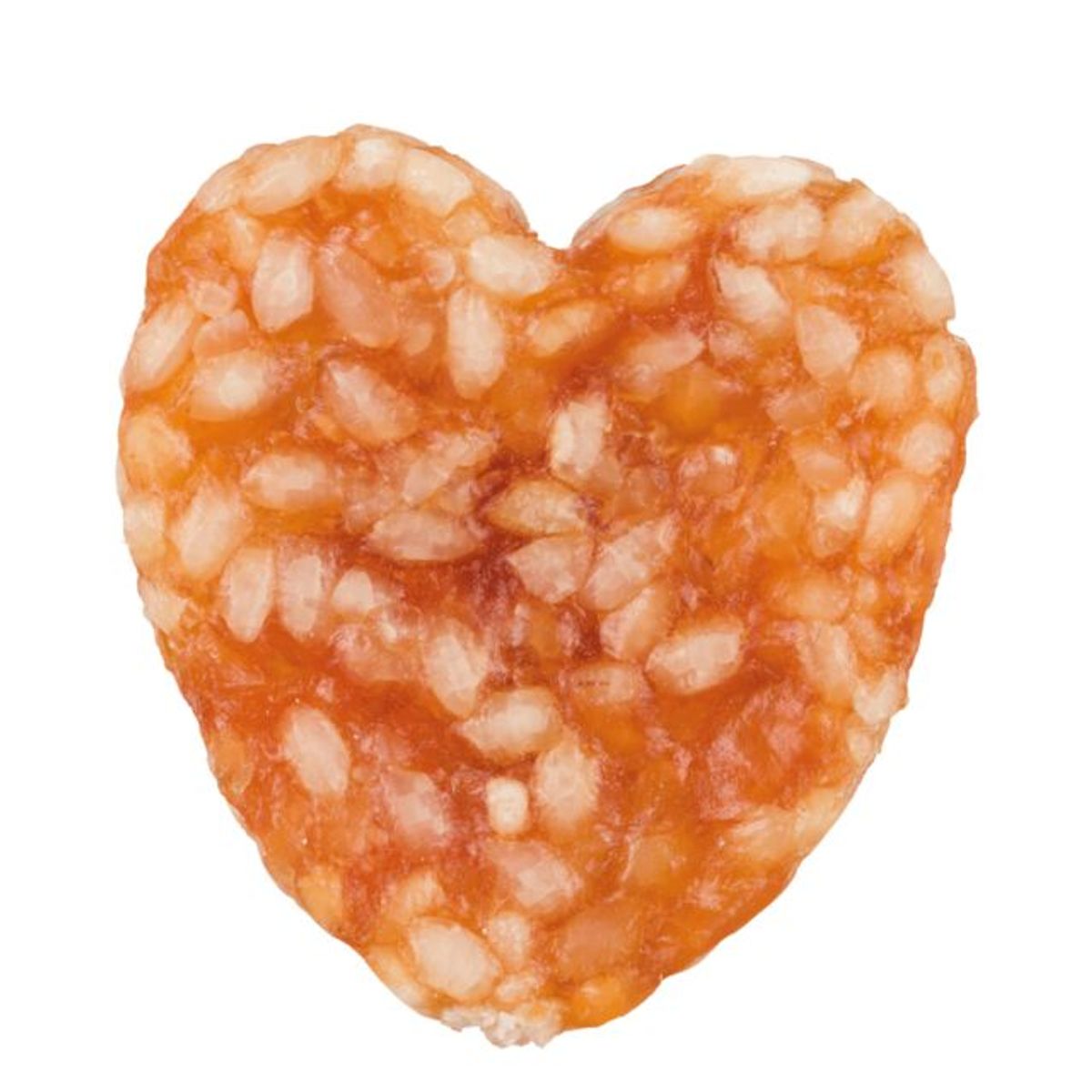 Trixie Premio Julekalender til hund