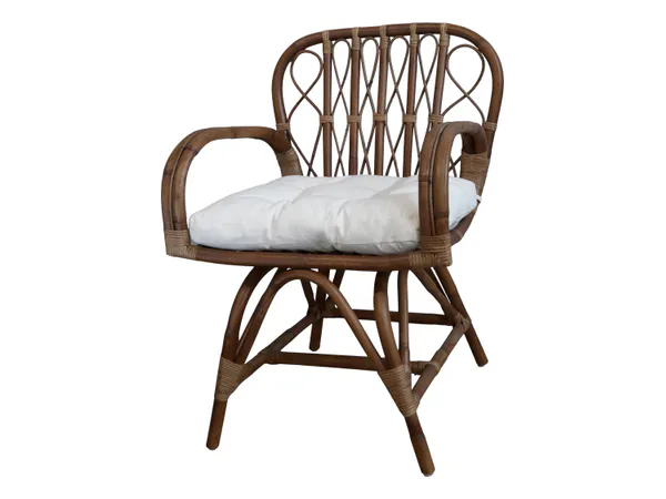 Hovedbilde Anor kurvstol med pute fra Chic Antique 